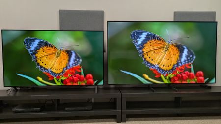 LG B5 in Dolby Vision picture mode and Samsung S85F in HDR10 picture mode displaying orange butterfly