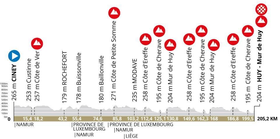 Profile of the 2025 La Fl&egrave;che Wallonne