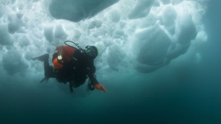 a scuba diver underwater