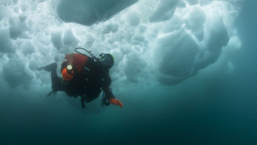 a scuba diver underwater