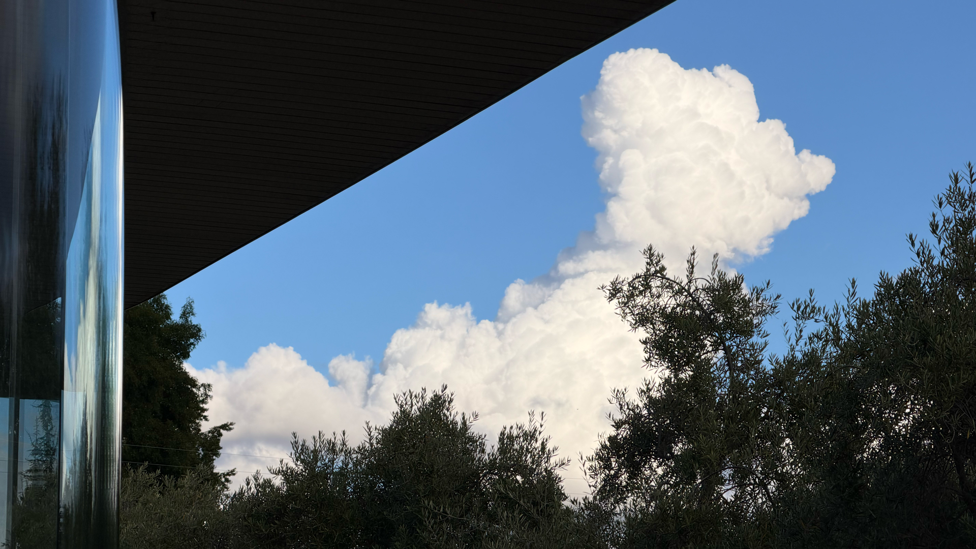Apple iPhone 17 Pro REVIEW photo samples