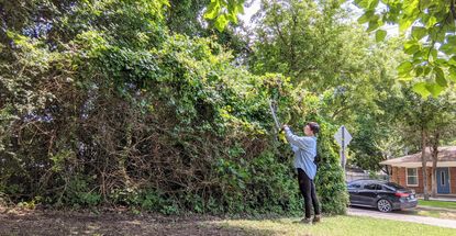 SnapFresh Cordless Hedge Trimmer 