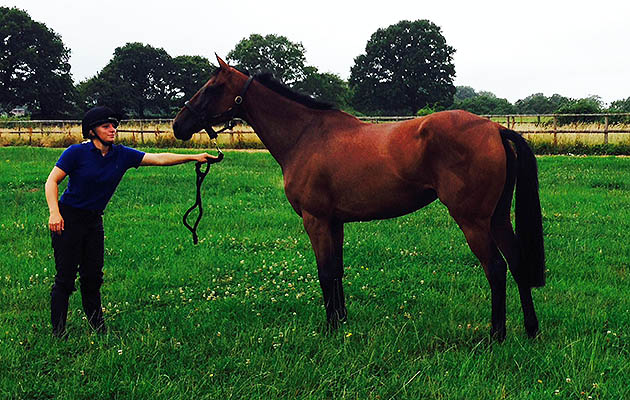 Silk Train is looking for new syndicate owners