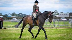 Belion and Rebecca Anders at Royal Cheshire show.