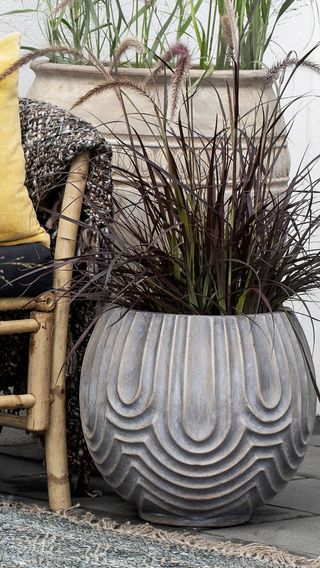 Statement pot filled with ornamental grasses from Sweetpea & Willow