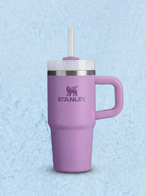 Quencher H2.0 Tumbler (14 oz)