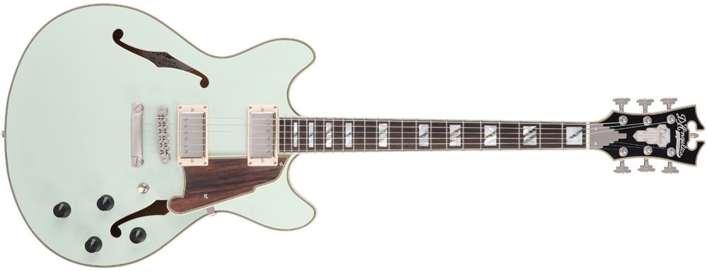 D'Angelico Deluxe DC LE
