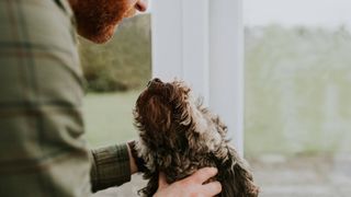 man looking at dog