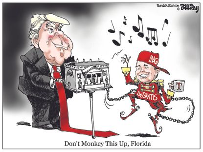 Political cartoon U.S. Trump Florida governor election maga Ron DeSantis monkey this up