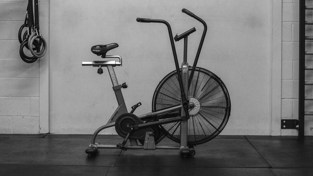assault airbike classic for sale