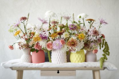 A display of flowers