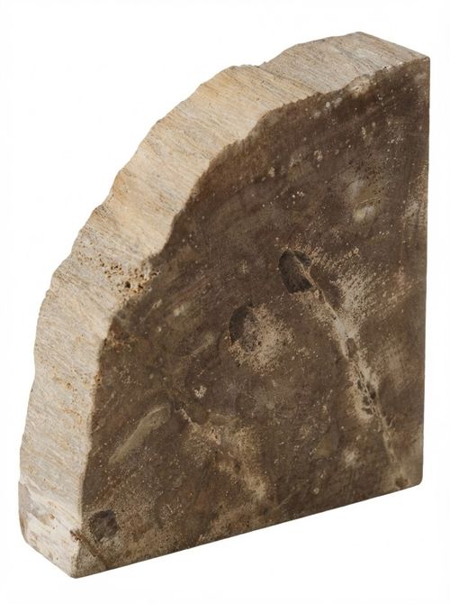 Petrified Wood Bookends&nbsp;