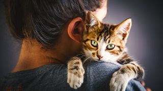 Woman from behind cuddling cat over her shoulder