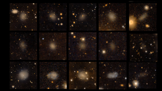 15 of the 50 newly discovered ghost dwarf galaxies