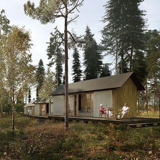 Sloping roof house with trees