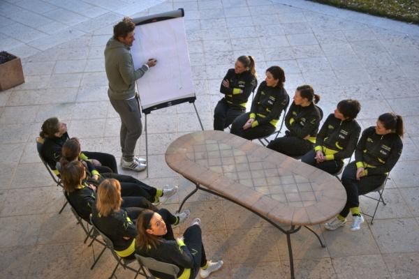 Time for a tactics discussion with the Lion King.