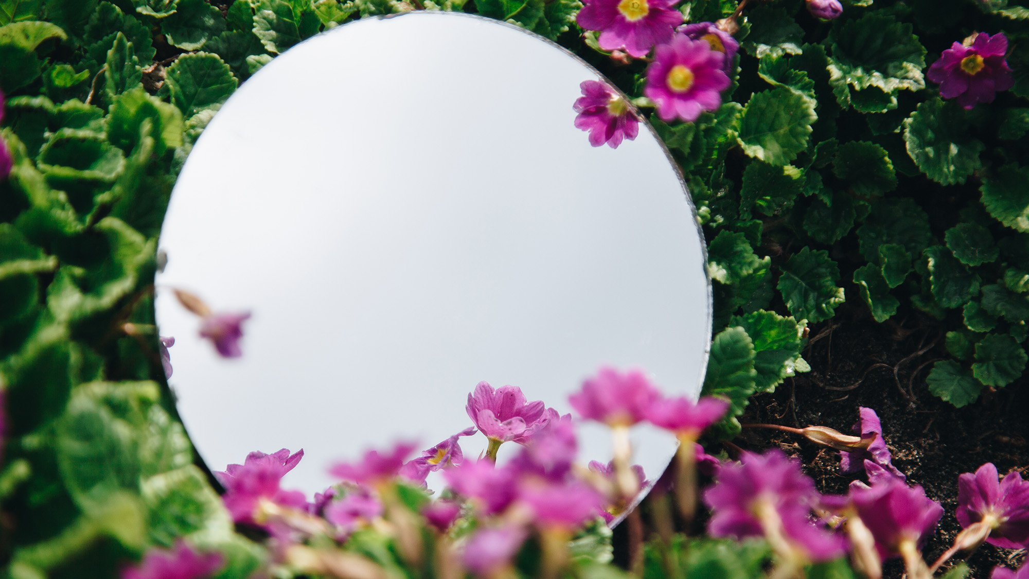 Mirror in garden