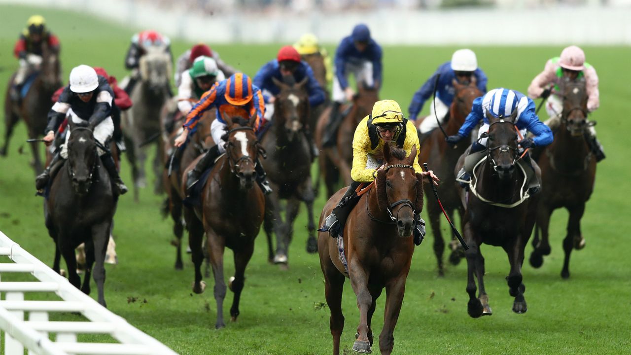ASCOT 8
