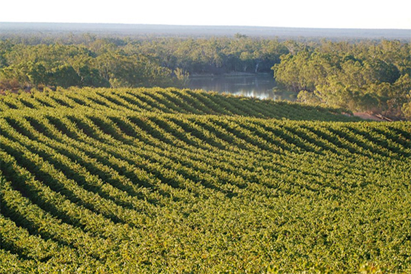 Credit-Mallee-Estate.jpg