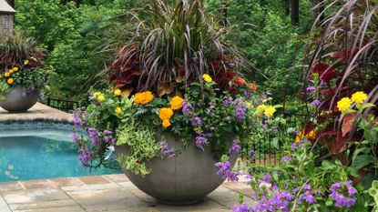 a garden container with colorful flowers and plants