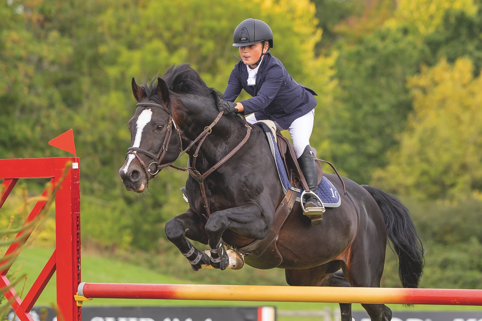 Young rider Alfie Bailey clears a fence on a dark bay horse