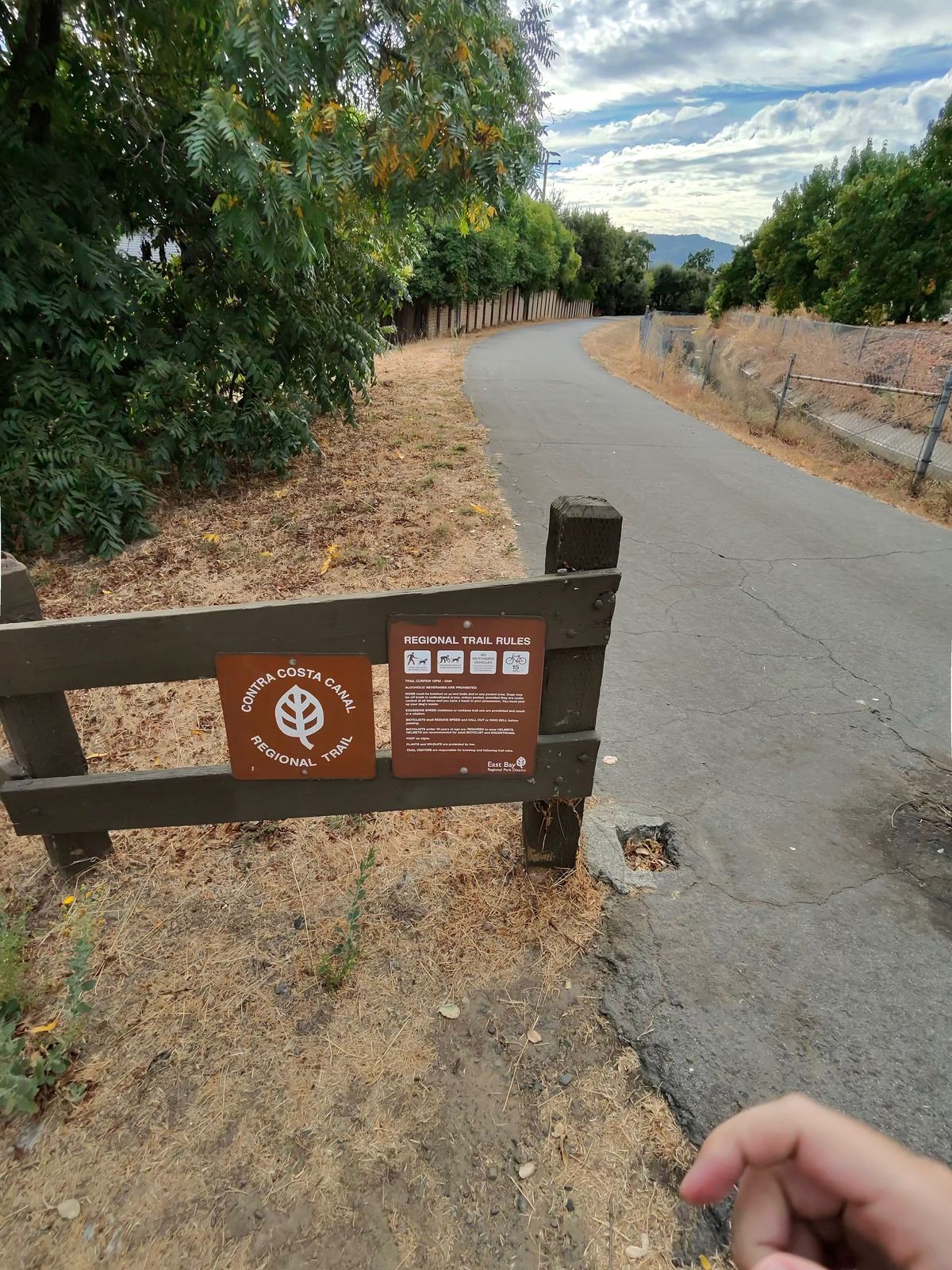 A camera sample showing the visual quality of photos taken from the Ray-Ban Meta smart glasses