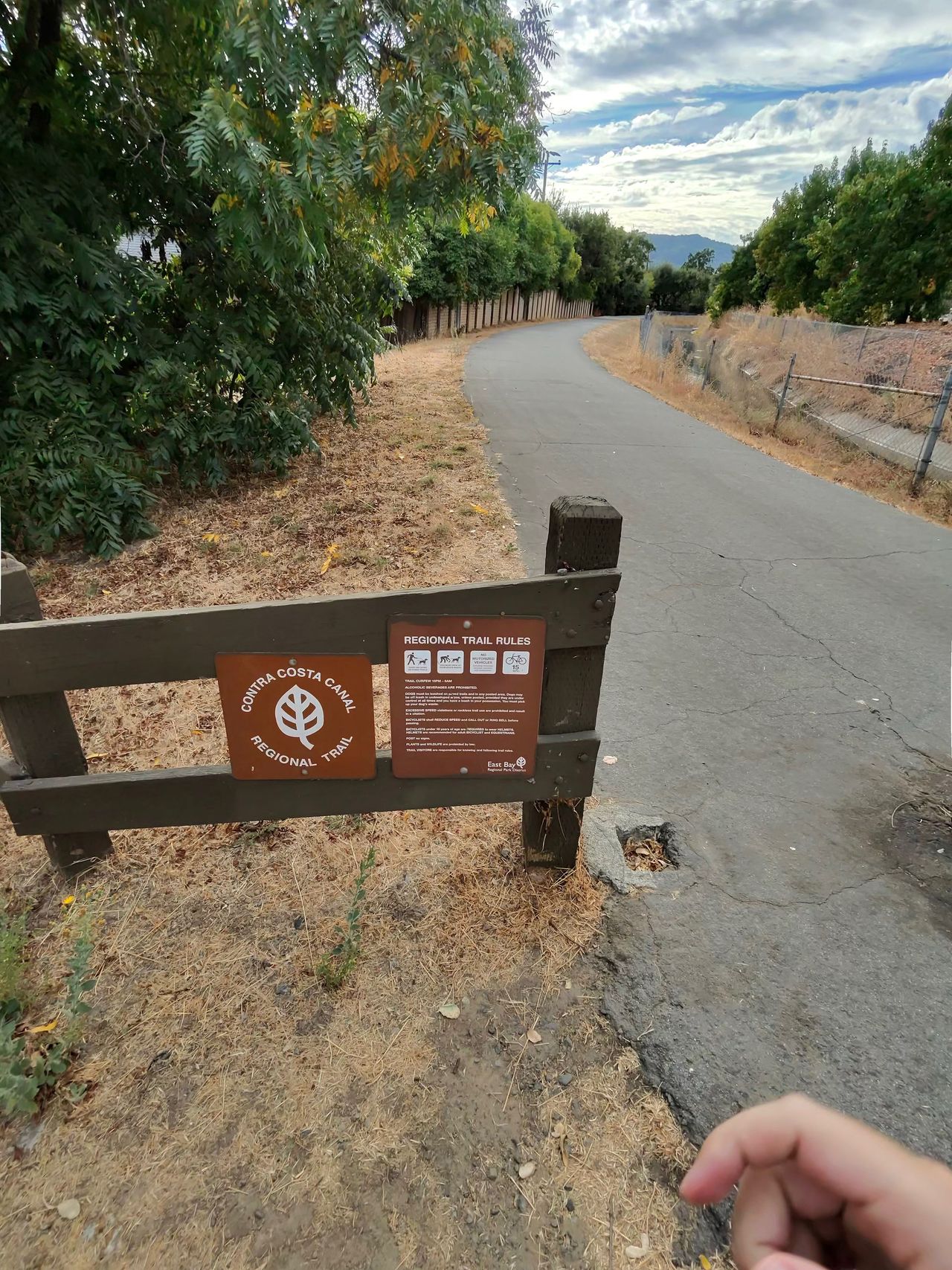 A camera sample showing the visual quality of photos taken from the Ray-Ban Meta smart glasses
