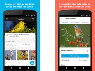 Audubon Birds Pro (Android: $3.99; iOS: $9.99)