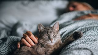 Cat sleeping with owner in bed