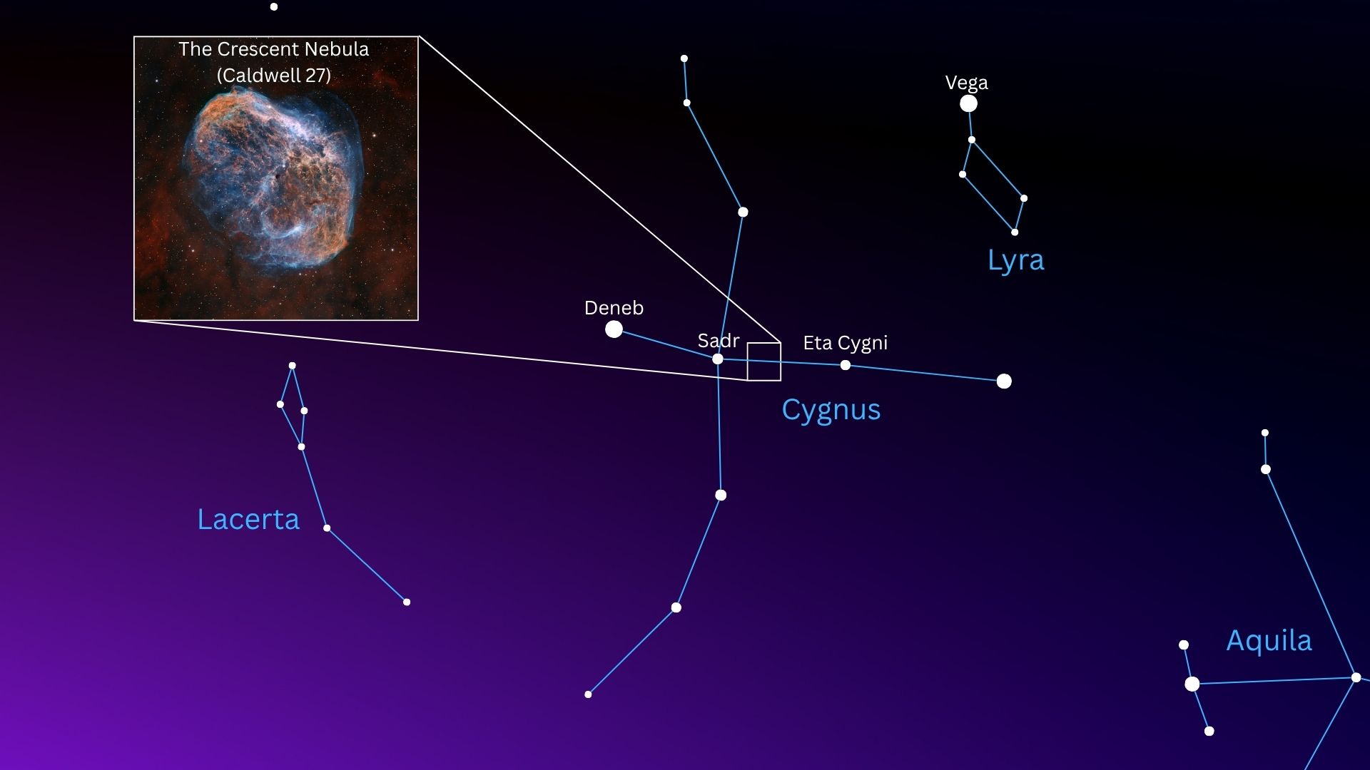 白鳥座の恒星のうち三日月星雲の位置を示すアスタリスク図。