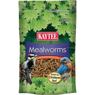 Kaytee Mealworms