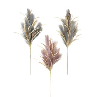 Mcneely Twilight Feather Plume Grass