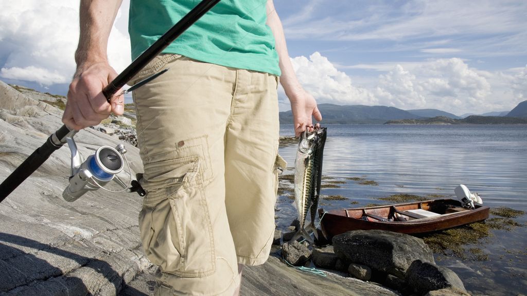 How to catch mackerel start catching with these simple tips Advnture