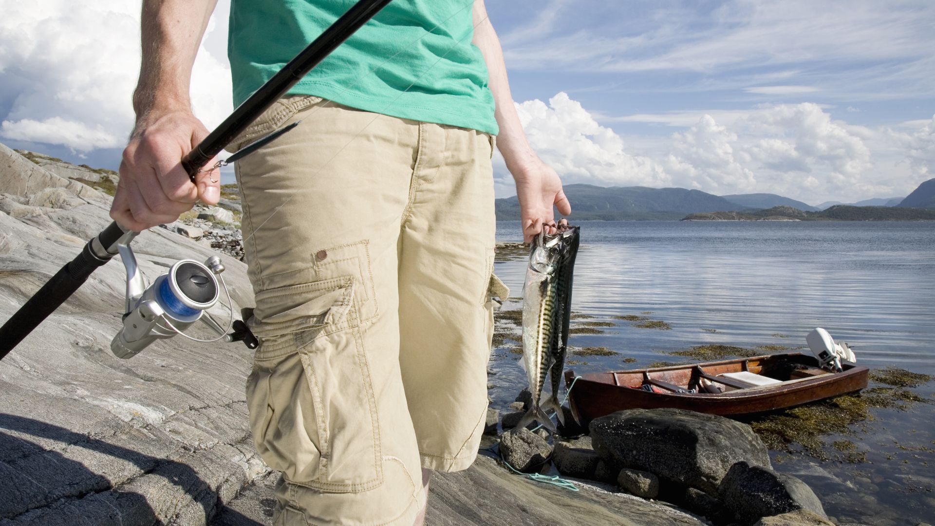 How to catch mackerel start catching with these simple tips Advnture