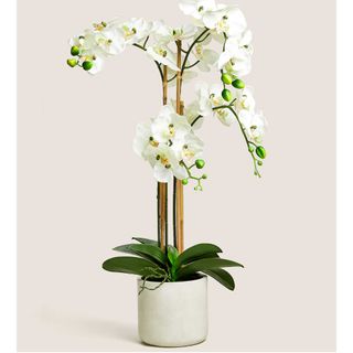 artificial white orchid