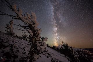 A snowy tree stands out against a night sky featuring the brilliant clouds of the Milky Way in a trailer for the upcoming film "Illusion of Lights: A Journey into the Unseen." Image uploaded Jan. 21, 2015.