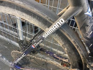 Julian Alaphilippe’s S-Works Specialized Tarmac was spotted-less before the race but like this after his victory