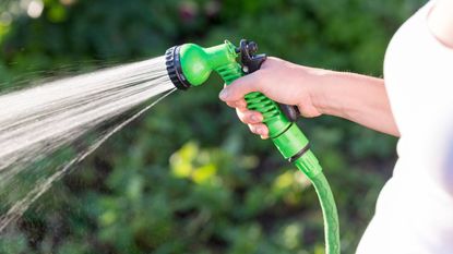 Woman&#039;s hand with expandable hose watering plants