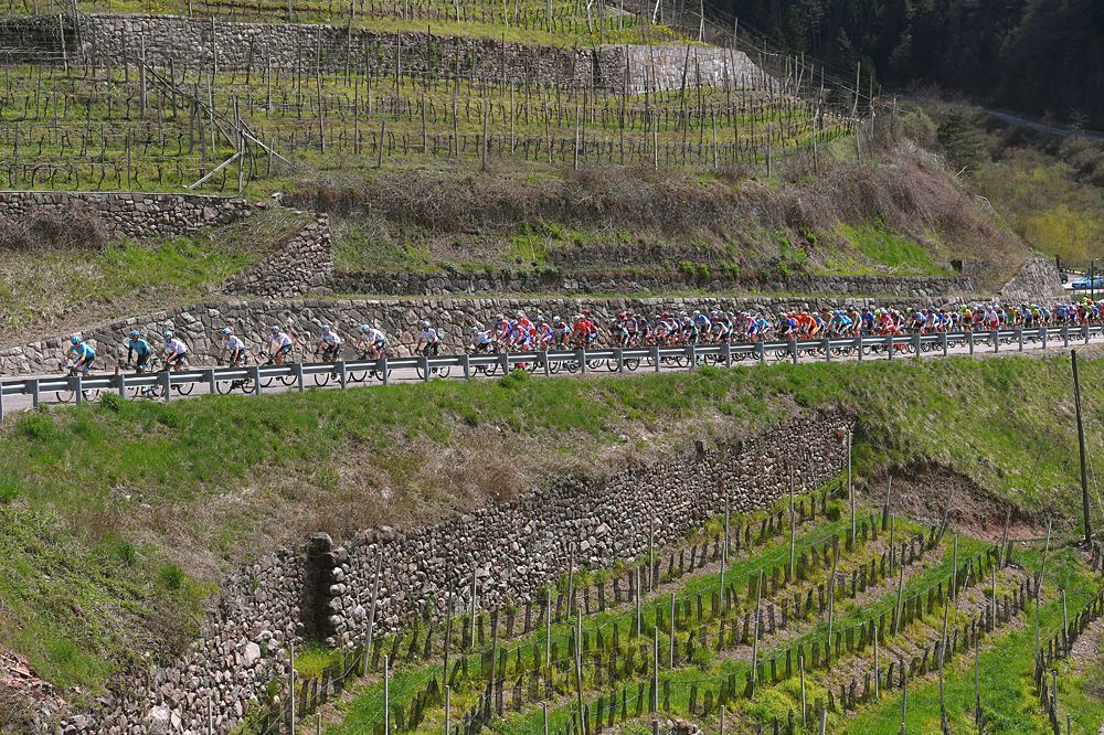 The peloton at Tour of the Alps