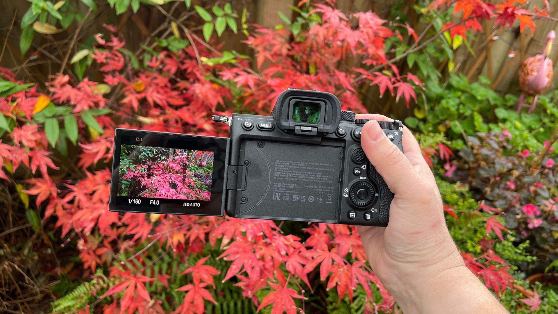Sony A7S III review: Photo performance