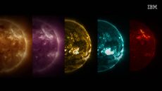 The sun