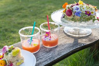 Drinks and cake at a garden party with glasses by Emma Britton
