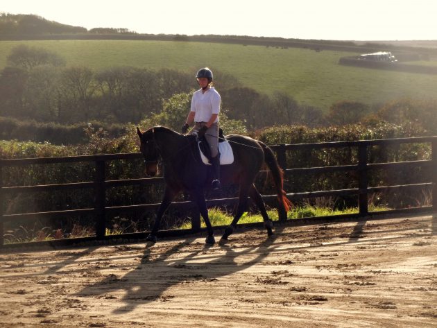 Schooling one of my horses, Lordy, once the arena was completed