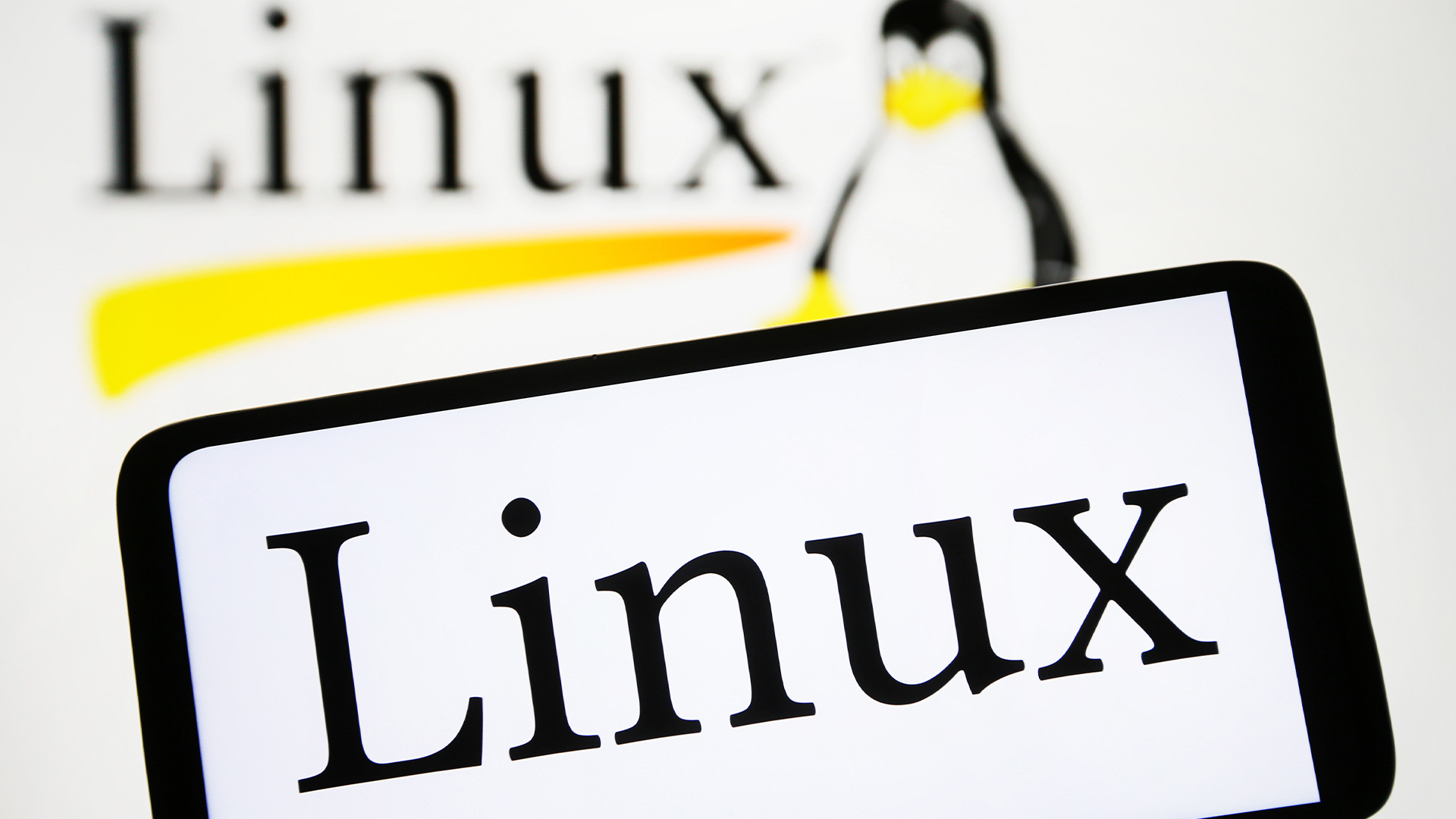 Linux has just achieved a historically high share of the global desktop market, and growing popularity in India is driving adoption of the open source operating system.