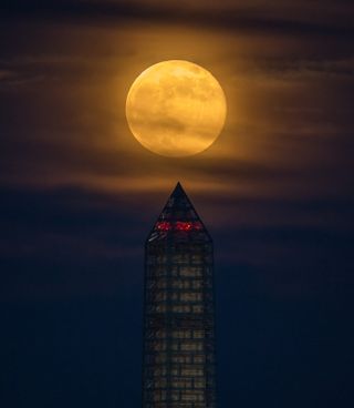 Supermoon Towers Over Washington Monument