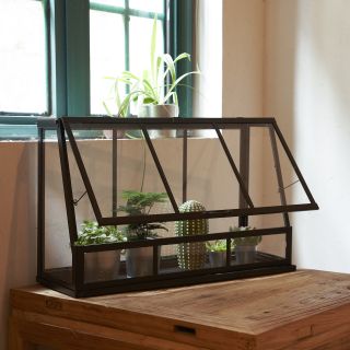 ÅKERBÄR Greenhouse from IKEA on a table near the window with houseplants and cacti inside