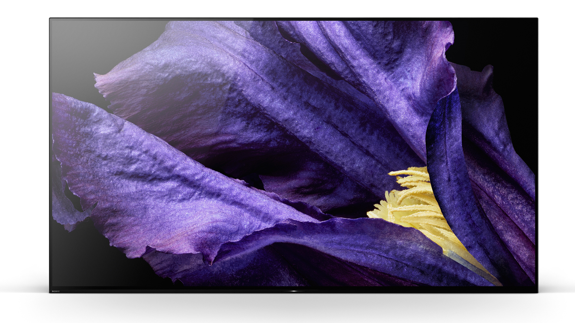 An Image of the Sony A9F Master Series OLED