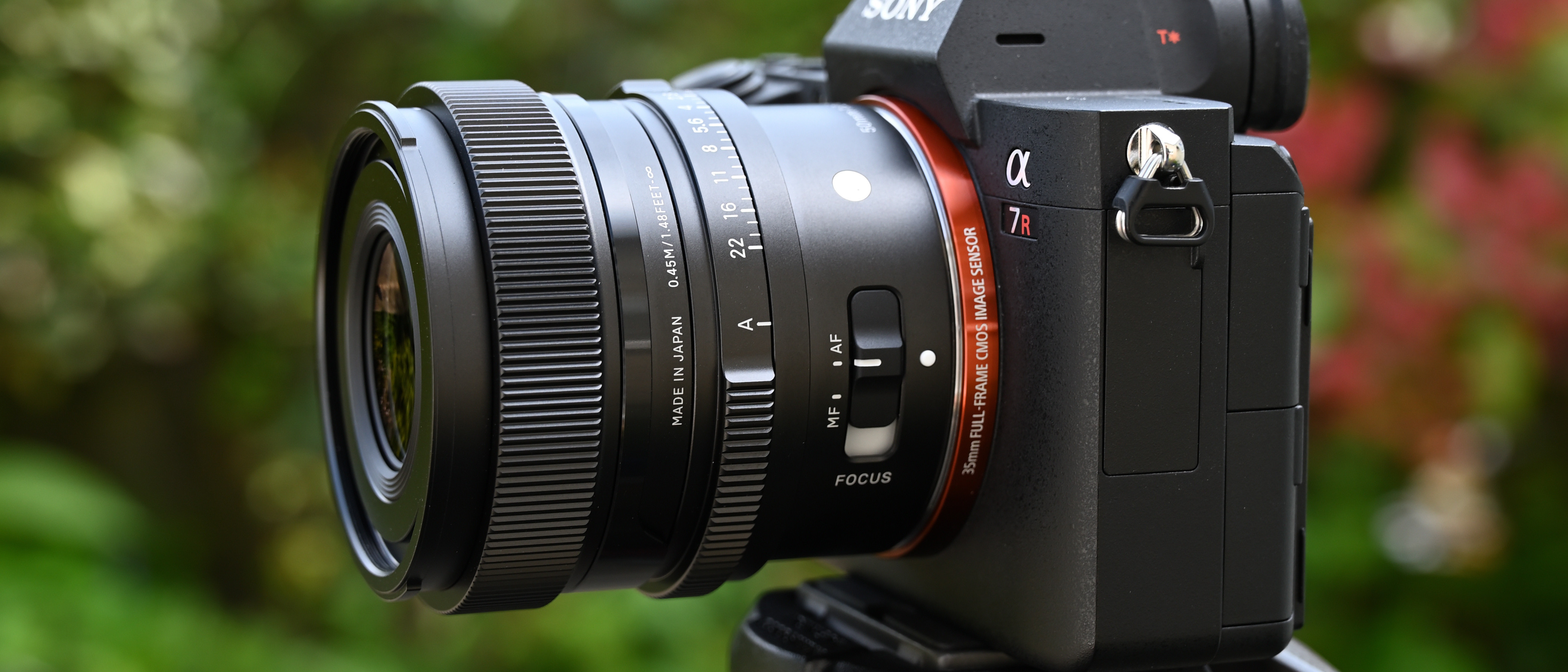 Sigma 50mm F2 DG DN | C review | Digital Camera World