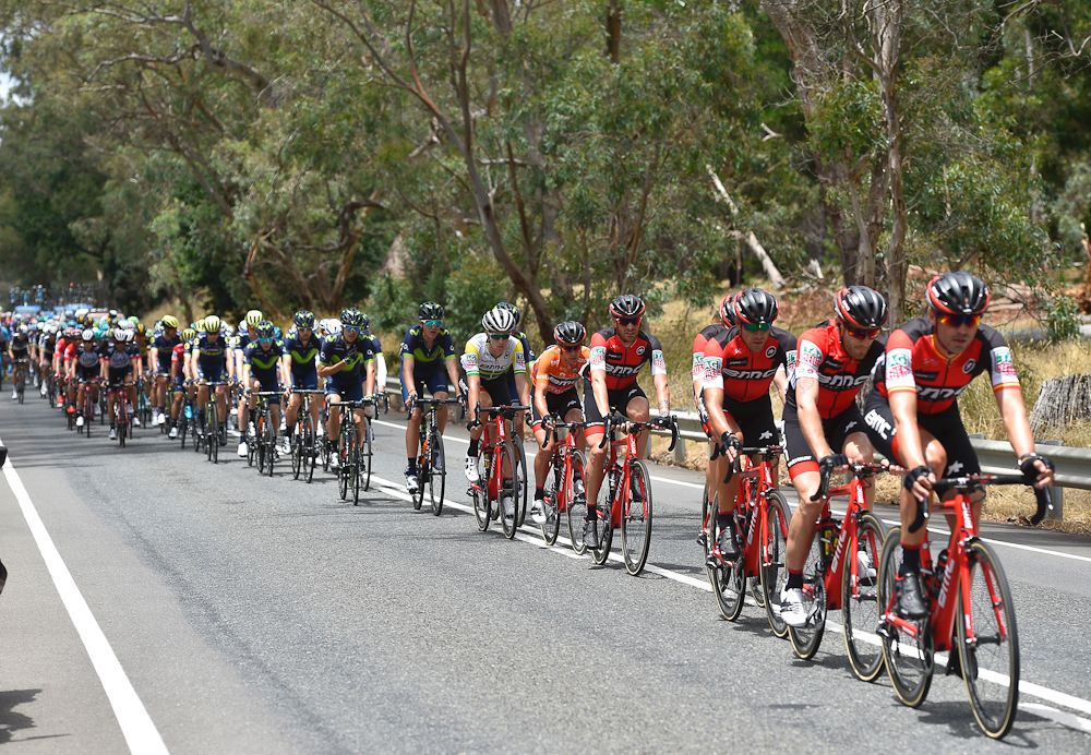 The peloton in action during stage 4 at the Tour Down Under
