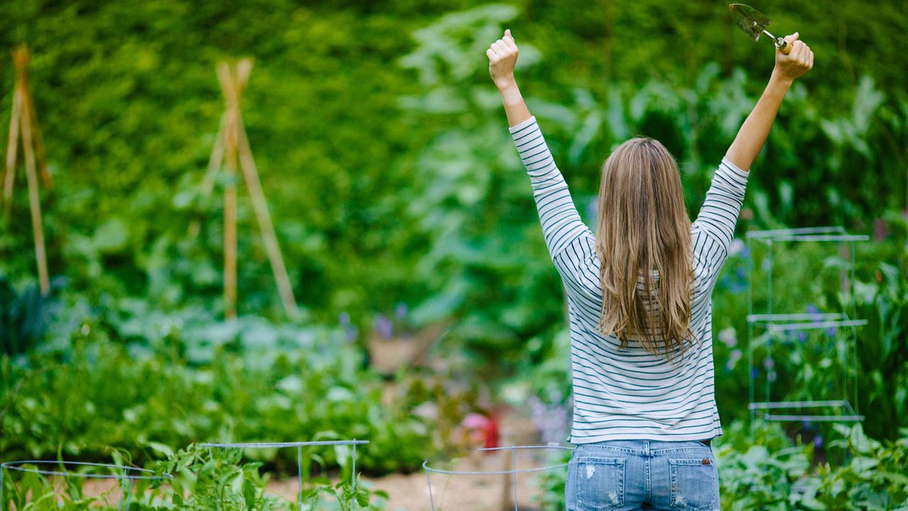 Gardener stretches out in garden holding hand trowel